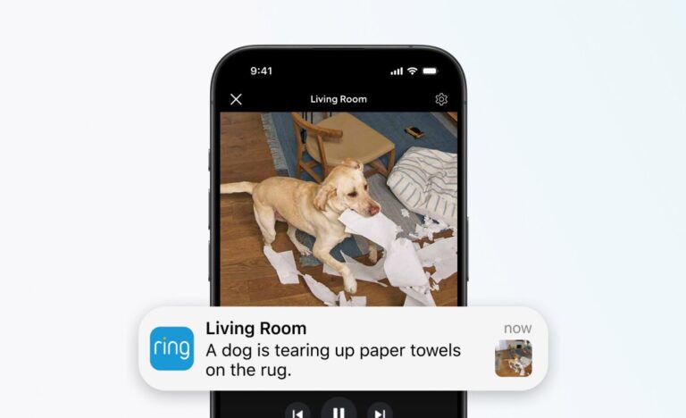 Ring AI 3